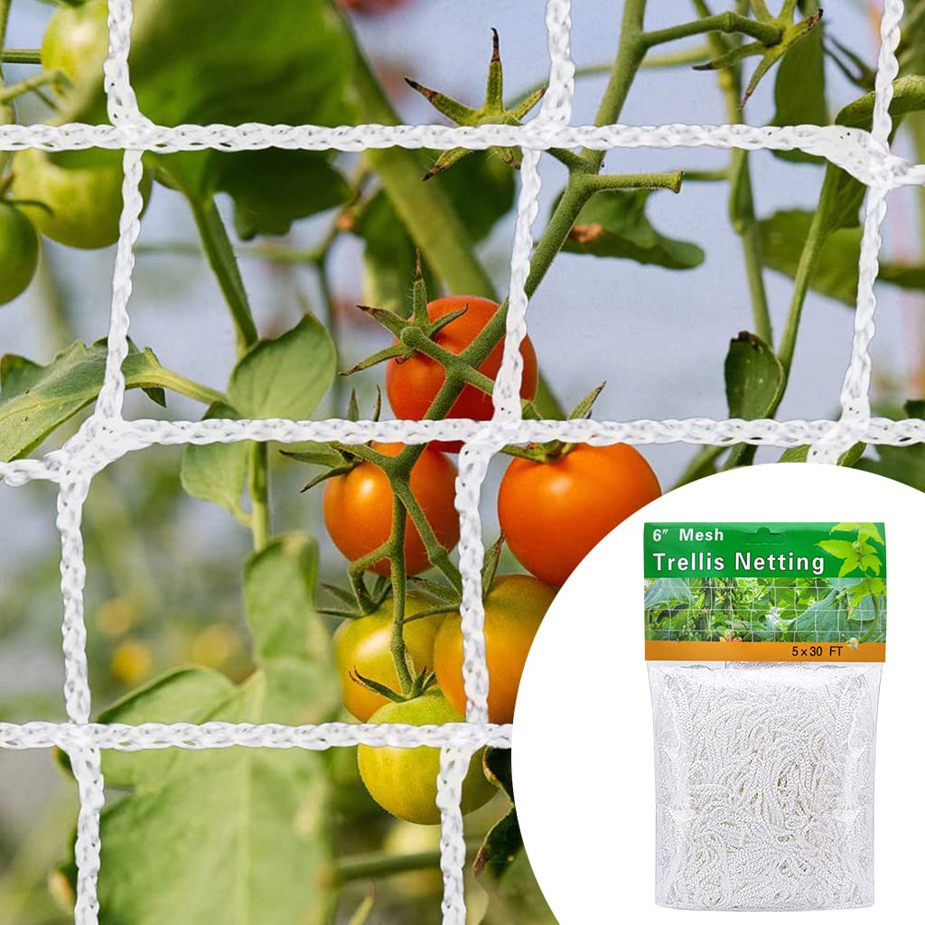HASTHIP 5*30 ft Creeper Plant Support Net For Agriculture And Gardening, Heavy-Duty Polyester Creepers and Climbers Plants Trellis Netting for Climbing Plants, Vegetables, Fruits, and Flowers HASTHIP 5*30 ft Creeper Plant Support Net For Agriculture And Gardening, Heavy-Duty Polyester Creepers and Climbers Plants Trellis Netting for Climbing Plants, Vegetables, Fruits, and Flowers